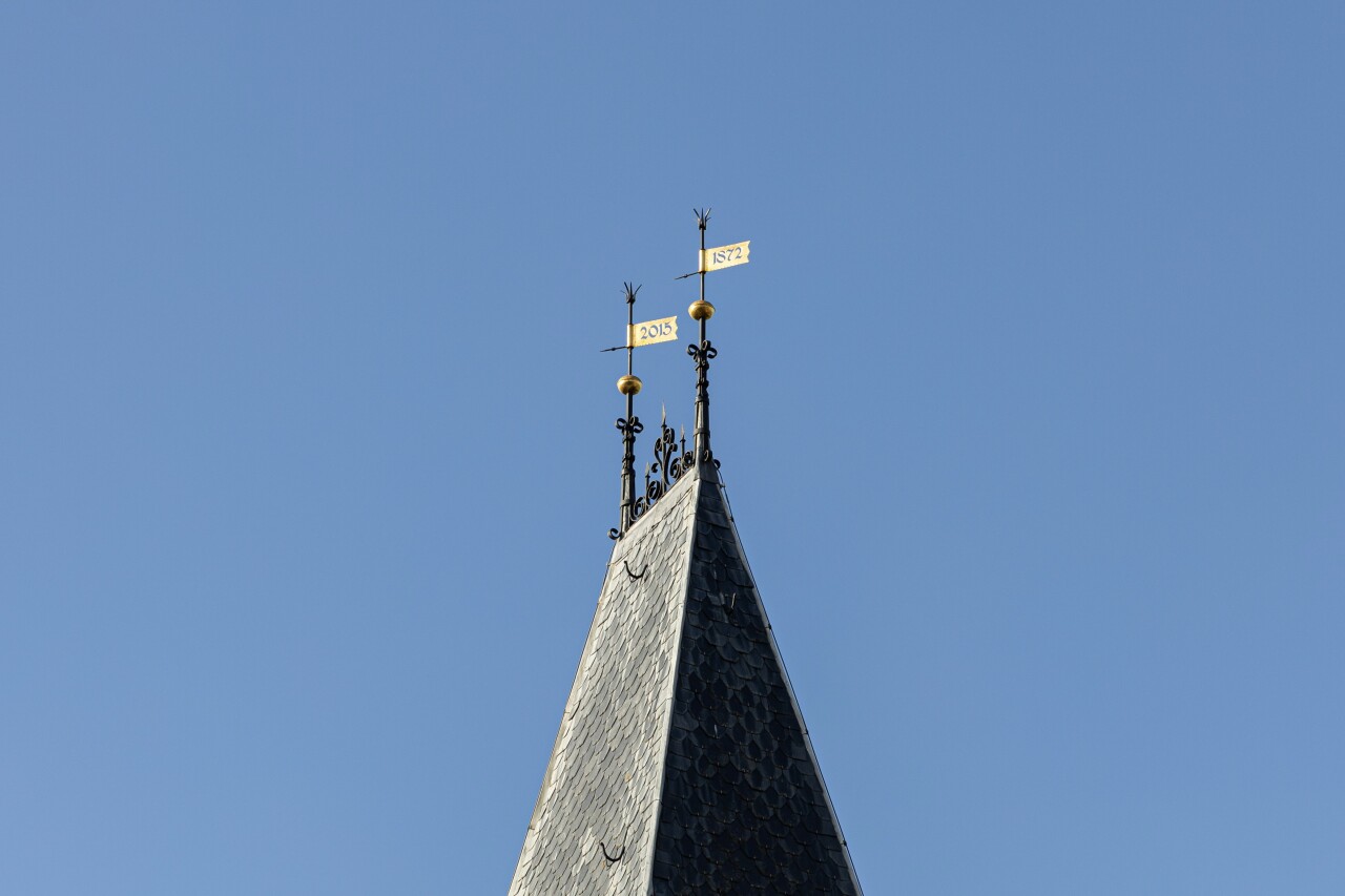IMG 0512